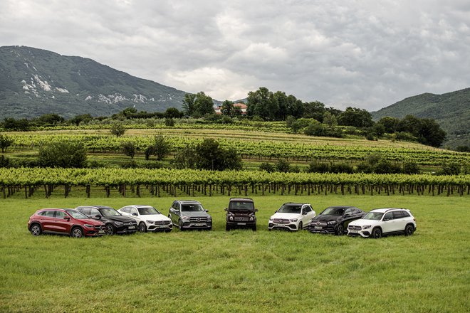 Široka paleta vozil SUV prav vsakemu omogoča, da najde svojega najljubšega. FOTO: Žiga Intihar