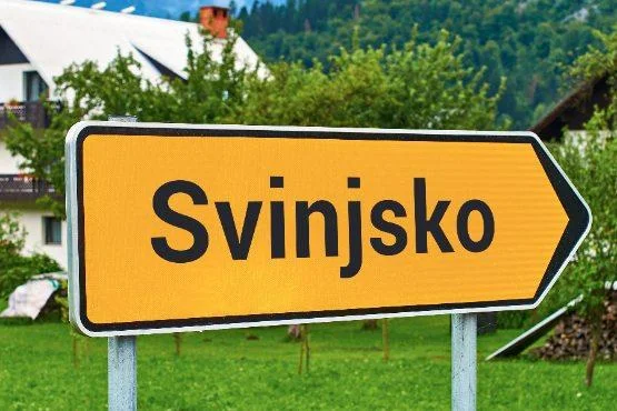 Več kot 6.000 naselij v Sloveniji ima okoli 4800 unikatnih imen, druga pa se ponovijo večkrat. FOTO: arhiv SURS