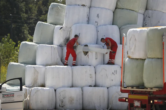 Več kot polovico odpadne embalaže odložimo ali sežgemo. FOTO: Leon Vidic/Delo