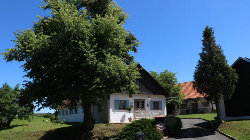 Skladnost cimprane glavne hiše z zidanimi gospodarskimi poslopji in okolico je ena največjih privlačnosti Domačije pri Momi v Kančevcih. FOTO: Jože Pojbič/Delo