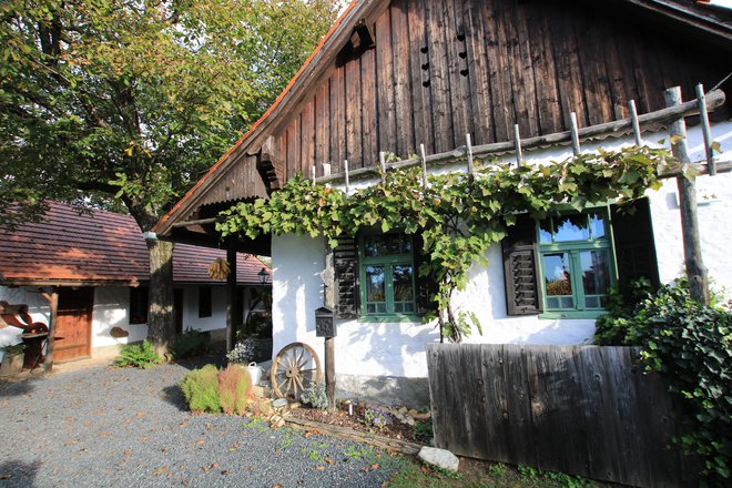 Karel in Edita Časar sta pred dvanajstimi leti apartmaje uredila v 130 let stari domačiji v Kruplivniku na Goričkem. FOTO: Jože Pojbič/Delo