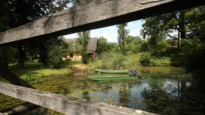 Fotografija: Krajinski park Lahinja je območje v povirju reke Lahinje in spada v območje Natura 2000. FOTO: Jure Eržen/Delo