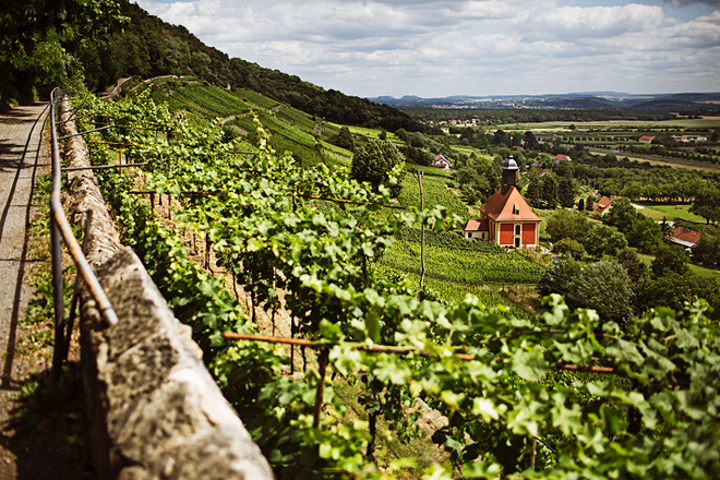 Dresden-Pillnitz, Saška vinorodna dežela © DZT Foto Deutsches Weininstitut