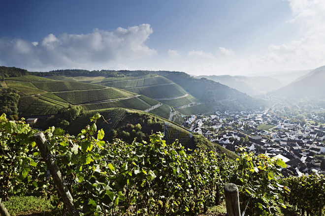 Vinorodni okoliš Ahr © DZT Foto Deutsches Weininstitut