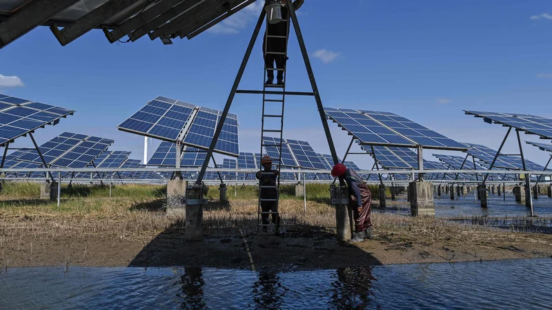 Fotografija: Samo z vetrnimi in sončnimi elektrarnami je bilo v EU v prvi polovici letošnjega leta proizvedenih rekordnih 21 odstotkov električne energije. FOTO: Hector Retamal/AFP