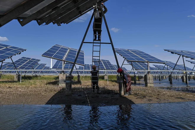 Samo z vetrnimi in sončnimi elektrarnami je bilo v EU v prvi polovici letošnjega leta proizvedenih rekordnih 21 odstotkov električne energije. FOTO: Hector Retamal/AFP