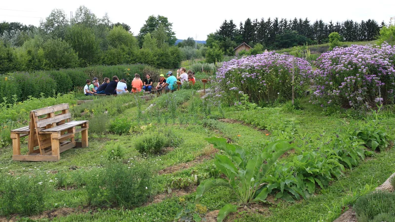 Fotografija: Pospeševanje prodaje domačih inovativnih izdelkov spodbuja domače gospodarstvo, pripomore k večji samopreskrbi in pomaga ohranjati poseljenost krajine. FOTO: Tomi Lombar/Delo