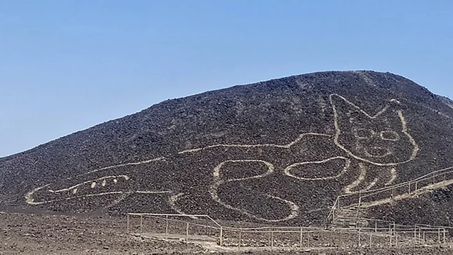 Perujsko ministrstvo za kulturo je objavilo fotografije mačke, ki je del črt Nazca. FOTO: Peruvian Ministry of Culture / AFP