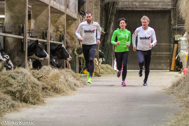 Naš tradicionalni veliki jesenski test nam je ponudil v preskus največ nove tehnologije s tega področja. FOTO: Mirko Kunšič/Delo