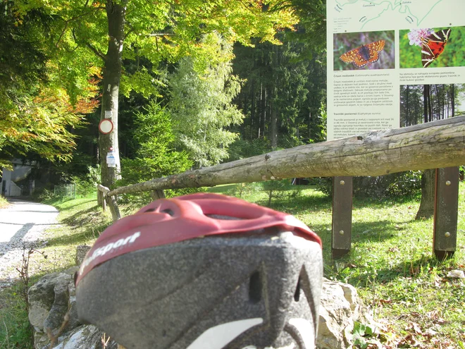 Prvine: končno na cilju. FOTO: Polona Malovrh/Delo