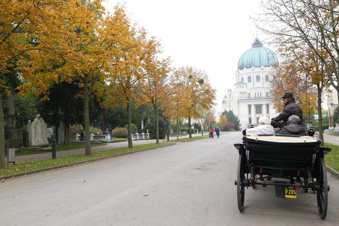 Kočije, ki prevažajo turiste, pogosto zavijejo tudi na osrednje pokopališče. FOTO: Milan Ilić