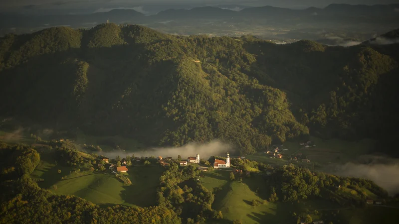 Fotografija: V preteklih nekaj letih je bilo v Avstriji in sosednjih državah zaradi vremenskih katastrof poškodovanih 60 odstotkov gozdov. FOTO: Jure Eržen/Delo