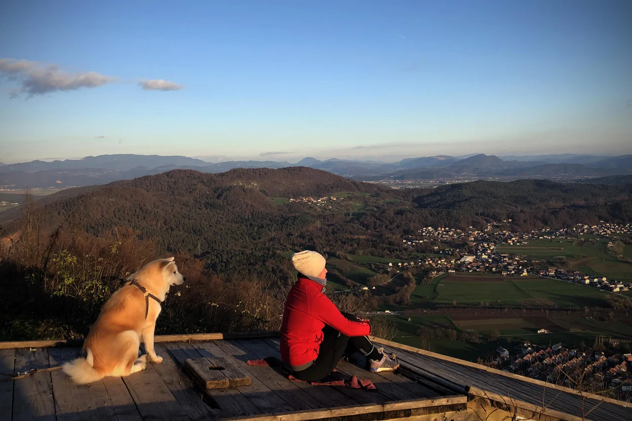 Fotografija: V prihodnjih dneh bi inšpektorji lahko izvajali nadzor nad spoštovanjem ukrepov med izletniki na Šmarni gori. FOTO: Jure Eržen/Delo