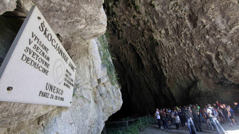 Fotografija: Vplivno območje Regijskega parka Škocjanske jame je v naravnem in kulturnem smislu zaokrožen prostor, zato ga je treba pustiti naravi in domačinom. Foto Mavric Pivk/Delo
