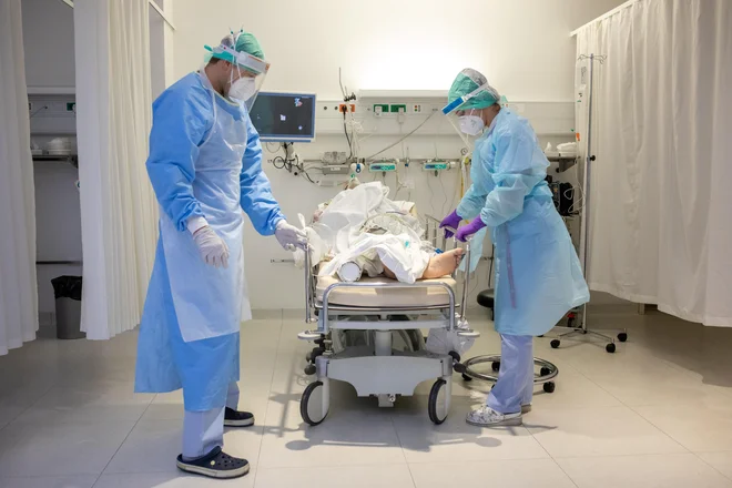 Kadar je virus v obliki delca, nima lastnega metabolizma, zato lahko zelo dolgo preždi v okolju brez hrane ali pa se celo potuhne v gostiteljskem organizmu. FOTO: Voranc Vogel/Delo