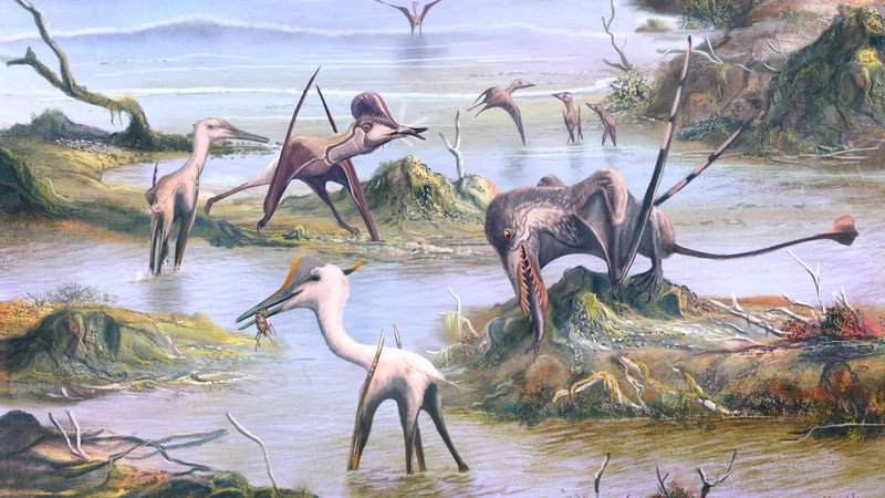 Fotografija: Umetniška upodobitev različnih pterozavrov pred 150 milijoni leti FOTO: Mark Witton / UNIVERSITY OF BIRMINGHAM / AFP
