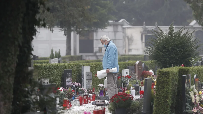 Fotografija: Na dan mrtvih so bile dopoldne Žale skoraj povsem prazne. FOTO: Leon Vidic/Delo