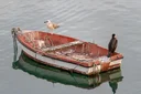 image_alt