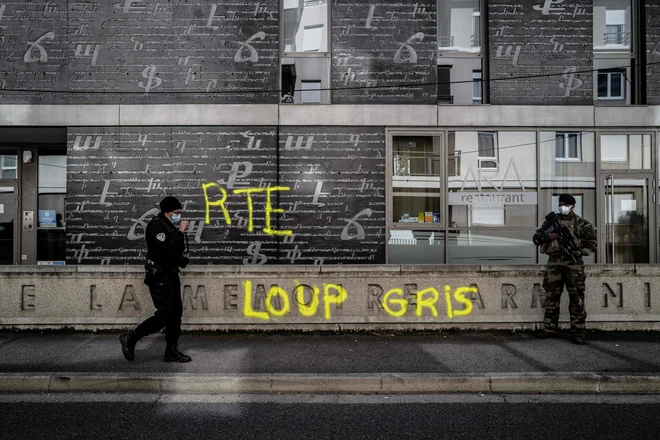 Francoska vlada bo prepovedala ultranacionalistično turško gibanje Sivi volkovi (Loups gris).<br />
Foto Jeff Pachoud/AFP