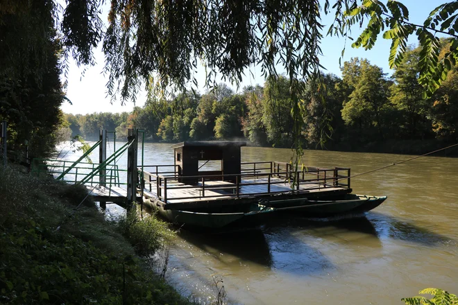 Elektrarne na Muri so trenutno največji nasedli projekt v Pomurju. Bo reka ostala tako romantična, kot je na posnetku broda pri Krogu? FOTO: Jože Pojbič/Delo