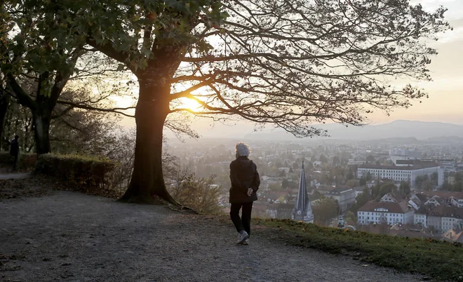 Sodobni življenjski slog za takšna naravna nihanja žal nima veliko posluha, saj v sodobnem času naše delovne obveznosti ostajajo nespremenjene tudi v jesensko-zimskem času. FOTO: Blaž Samec/Delo