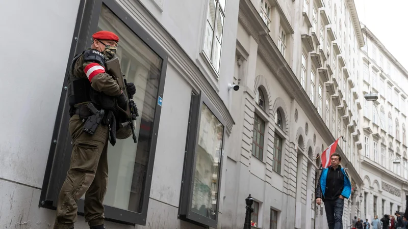 Fotografija: Pripadnik avstrijske vojaške policije na straži v bližini dunajske sinagoge po terorističnem napadu na Dunaju. FOTO: Joe Klamar/ Afp