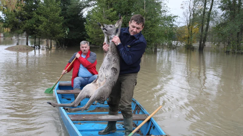 Fotografija: Pred osmimi leti je Drava v tem času poplavljala od Dravograda do meje s Hrvaško. Lokalne skupnosti, posamezniki in podjetja za visoko vodo krivijo Verbund, zato od njega na sodiščih terjajo odškodnino.
Foto Tadej Regent