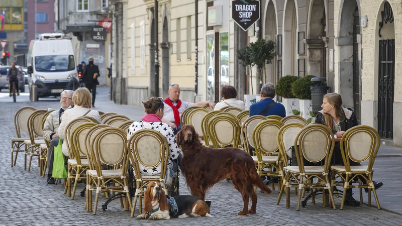 FOTO: Matej Družnik/Delo