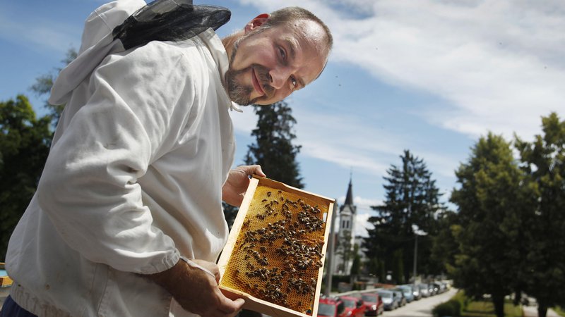 Fotografija: Urbani čebelar Gorazd Trušnovec v akciji.Če imate vrt ali teraso, lahko pri njem najamete panj – za panj skrbi on, med pa dobite vi. Njegove čebele si lahko ogledate v okviru ljubljanske Čebelje poti. FOTO: Leon Vidic