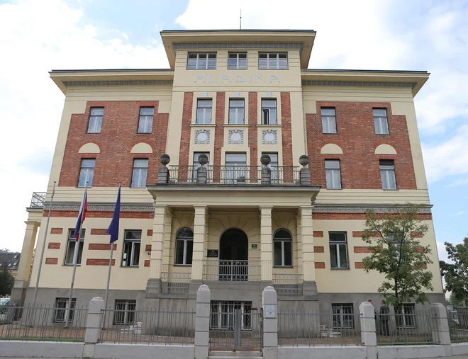 »MZZ ne komentira notranjepolitičnih reakcij na volitve v ZDA,« so odgovorili z zunanjega ministrstva. FOTO: Jože Suhadolnik/Delo