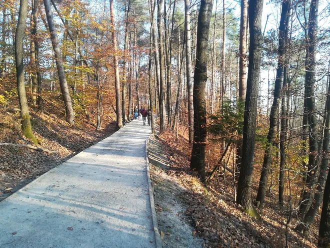 Kmalu bodo Golovec uredili z enotnimi označbami, napovedujejo na MOL. FOTO: Simona Bandur