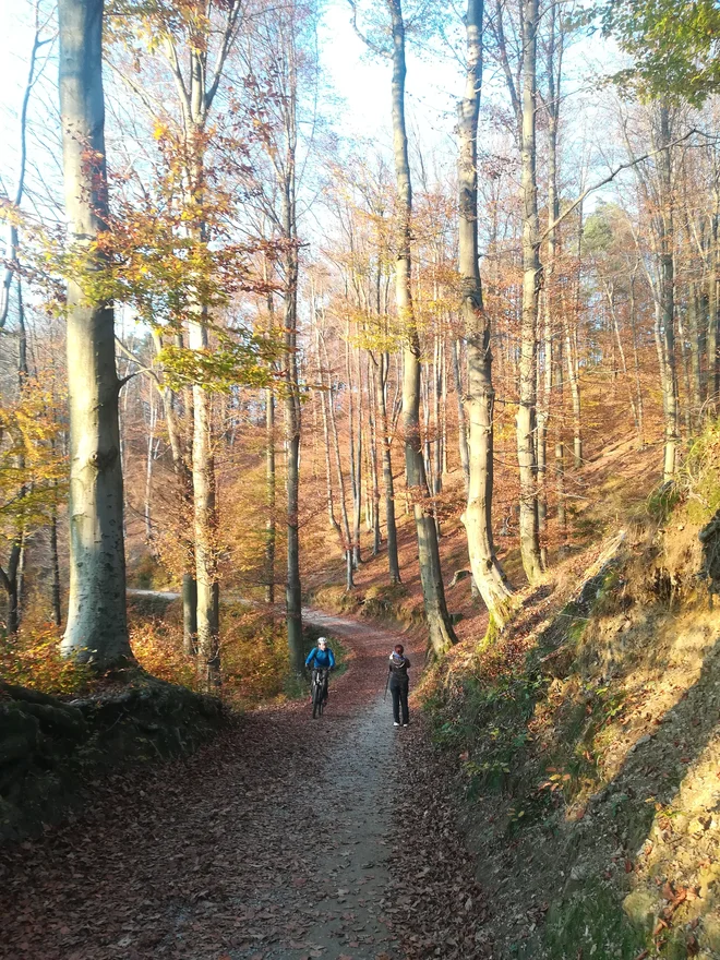 Na Golovcu se vijejo štiri poti: srčna, pot spominov in tovarištva, slovenska turnokolesarska pot in mednarodna romarska Jakobova pot. FOTO: Simona Bandur