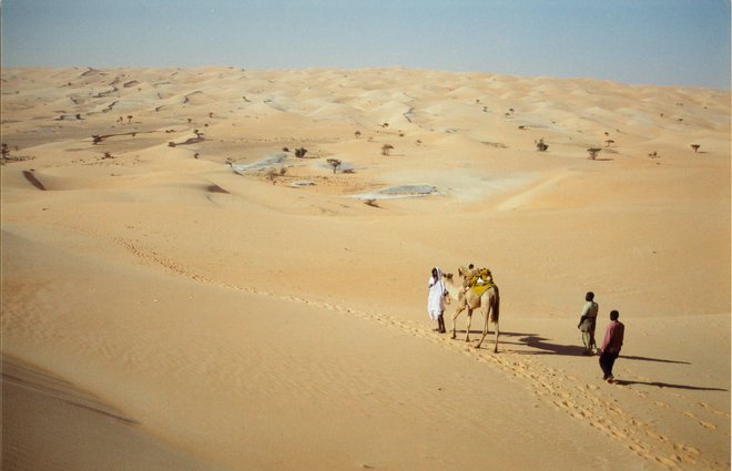 Najbolj nenavaden prevoz je bil do oaze Geila – na kameli. FOTO: Alen Steržaj