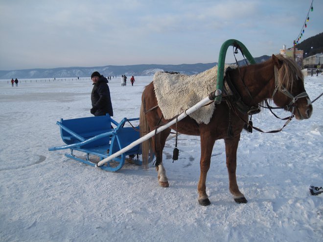 Po zamrznjenem Bajkalskem jezeru FOTO: Alen Steržaj