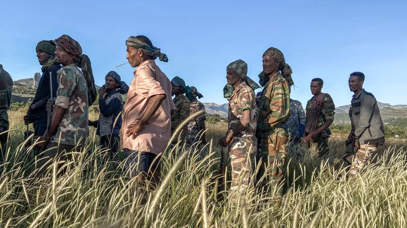 Fotografija: Lokalna milica, ki se bori proti Tigrejcem na strani vladnih sil. FOTO: Eduardo Soteras/AFP