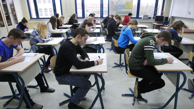 Fotografija: Za zdaj kaže, da so gimnazijski ravnatelji s hitrim odzivom onemogočili, da bi se dijaki s poklicno maturo lahko vpisali na katerikoli študijski program. Čeprav se v praksi to velikokrat dogaja. FOTO: Leon Vidic/Delo