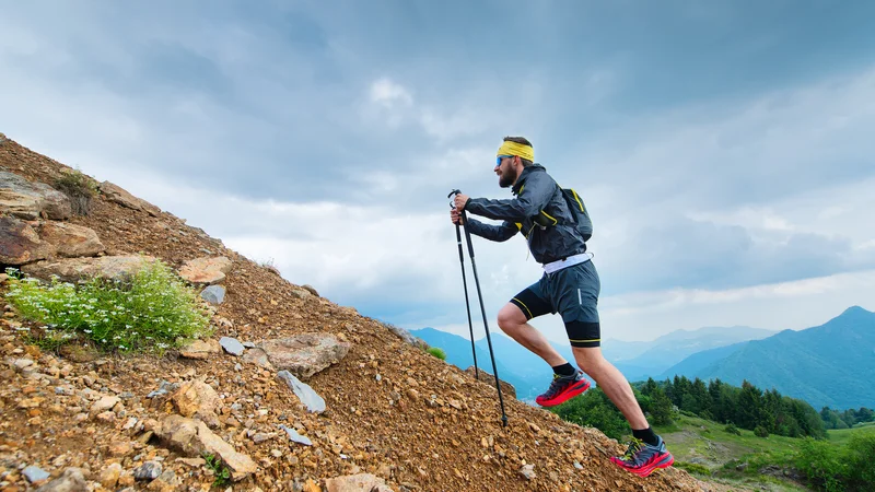 Fotografija: Človek si po definiciji želi navzgor. FOTO: Shutterstock