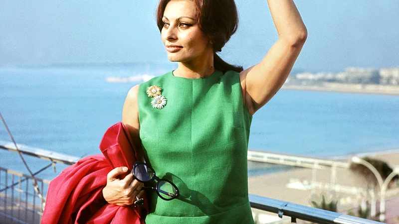 Fotografija: Sophia Loren na festivalu v Cannesu leta 1964 FOTO: AFP