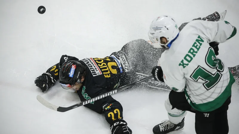 Fotografija: Gal Koren bo znova preigraval v zeleno-belem dresu. FOTO: Uroš Hočevar/Delo