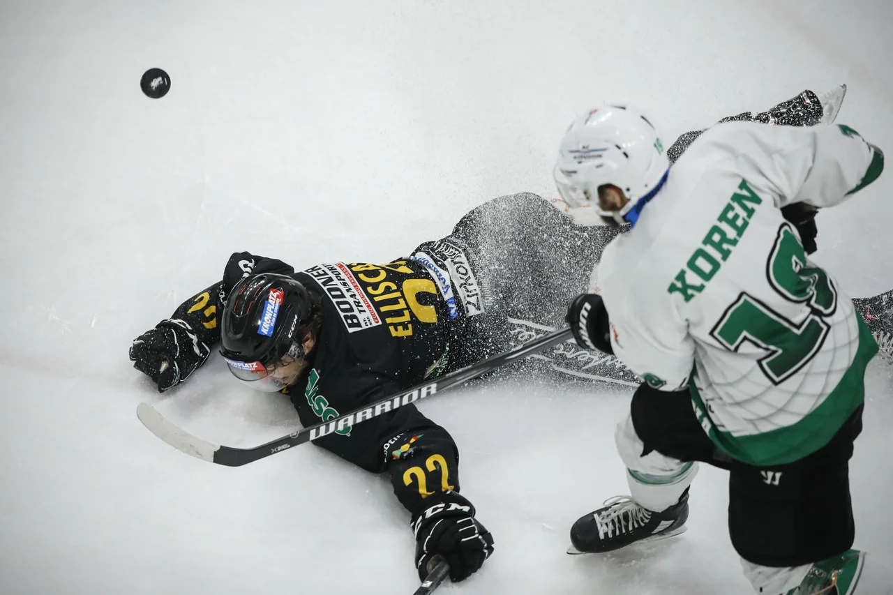 Fotografija: Gal Koren bo znova preigraval v zeleno-belem dresu. FOTO: Uroš Hočevar/Delo