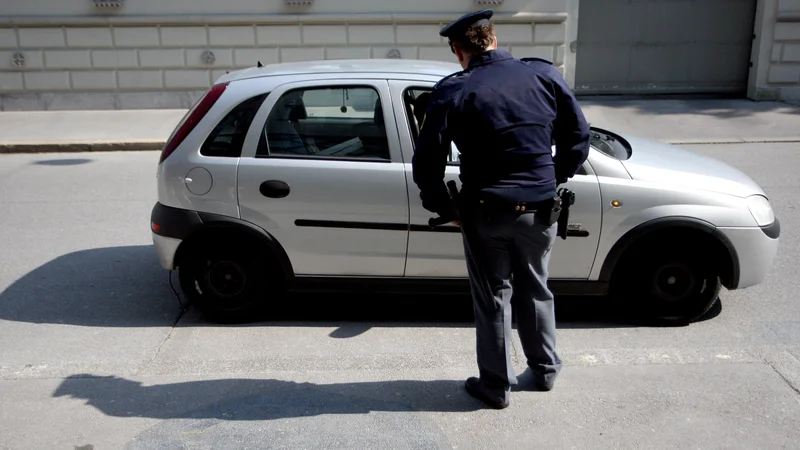 Fotografija: Policisti vsako leto zasežejo kar okoli 3500 vozil. FOTO: Roman Šipić/Delo