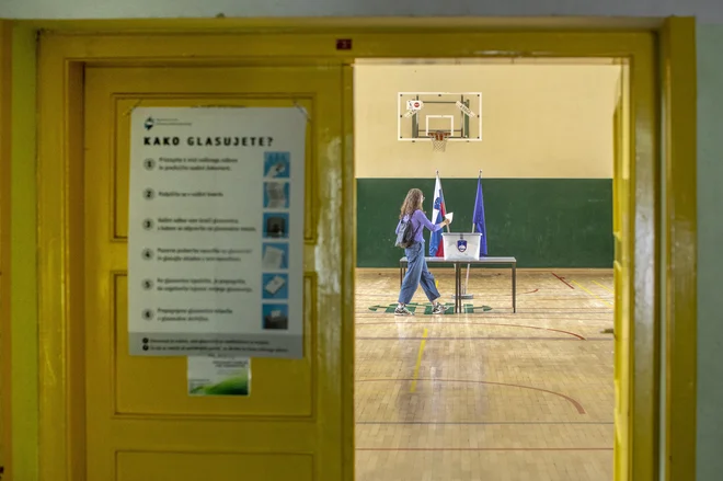 Danes&nbsp; gre vse skozi strankarske volilne kuhinje, zato dobimo poslance z &raquo;dolgoletno kilometrino&laquo;, čeprav nam delajo le škodo.<br />
Foto Voranc Vogel/Delo