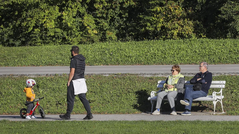 Fotografija: Predlagani demografski sklad bi večino prilivov porabil za tekoče pokojnine, za bodoče generacije bi ostalo bolj malo. FOTO: Jože Suhadolnik/Delo