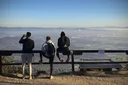 image_alt