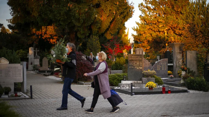 Fotografija: V Ljubljani letos pet odstotkov pogrebov in upepelitev več kot lani v istem času. Foto: Matej Družnik/Delo