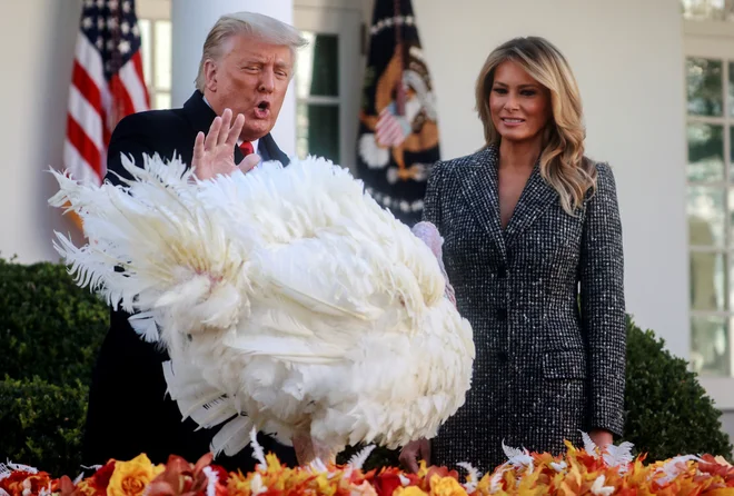Predsednik Donald Trump in prva dama Melania s pomiloščenim Zrnom. FOTO:&nbsp;Hannah McKay/Reuters