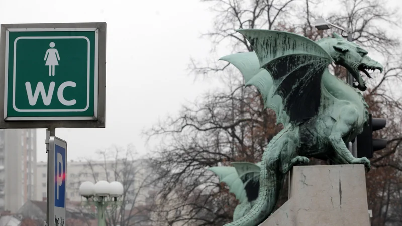 Fotografija: V glavnem mestu je 13 javnih stranišč, edino plačljivo je na Gradu. Foto Mavric Pivk