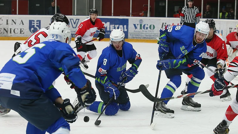 Fotografija: Slovenska hokejska reprezentanca je nazadnje nastopila doma v uvodnem kolu kvalifikacij za OI februarja letos na Jesenicah. FOTO: Jože Suhadolnik/Delo