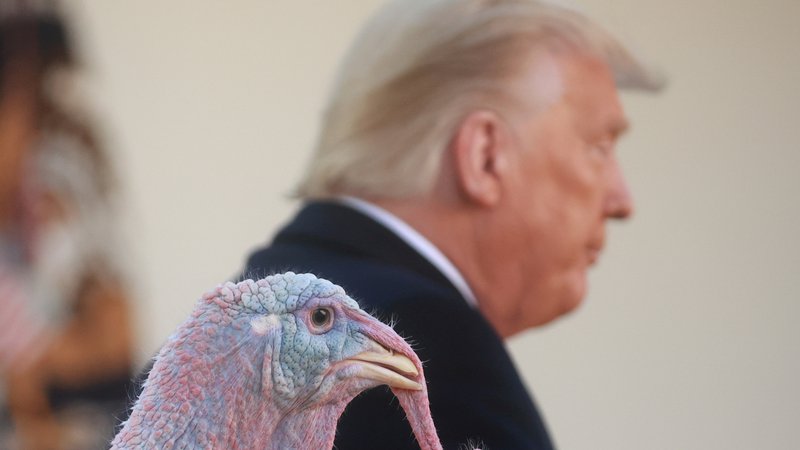 Fotografija: Populizem se ni začel z Donaldom Trumpom, on je samo njegov najbolj prostaški izraz.
FOTO: Hannah Mckay/Reuters