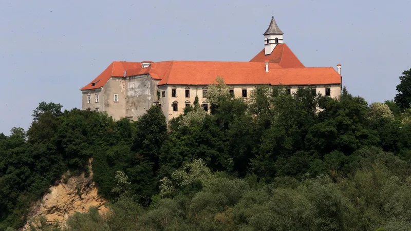 Fotografija: Nesreča ob demontaži žerjava se je zgodila na gradu Borl v občini Cirkulane. FOTO: Tadej Regent/Delo
